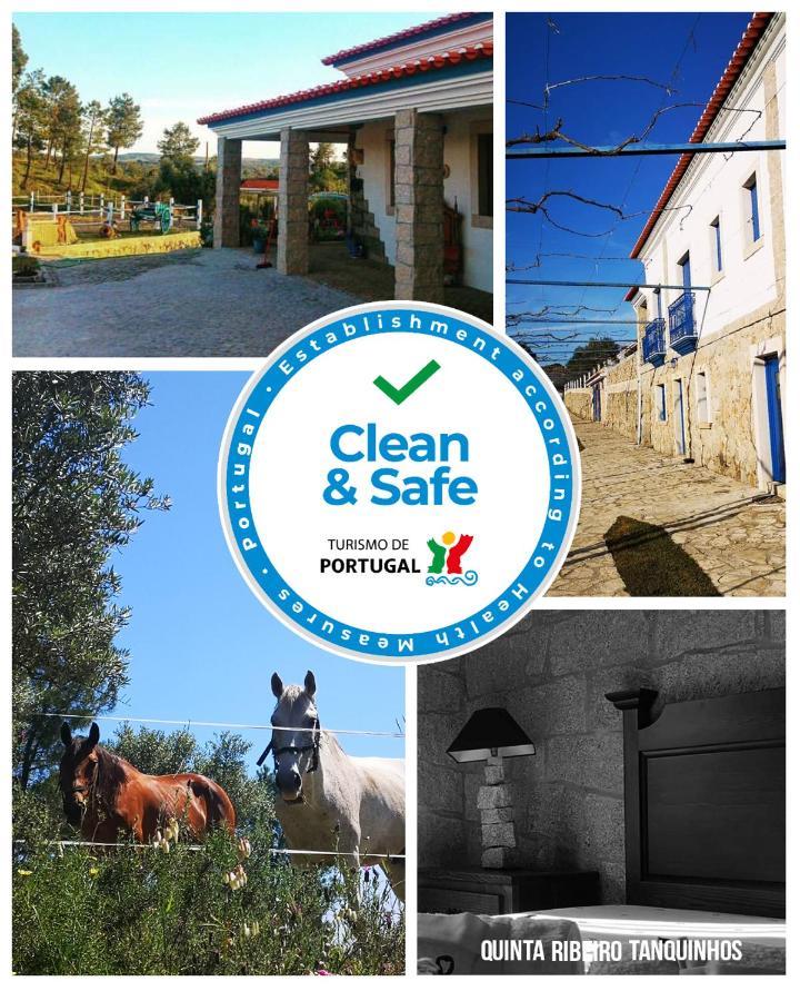 Quinta Ribeiro Tanquinhos Guest House Tancos Екстериор снимка