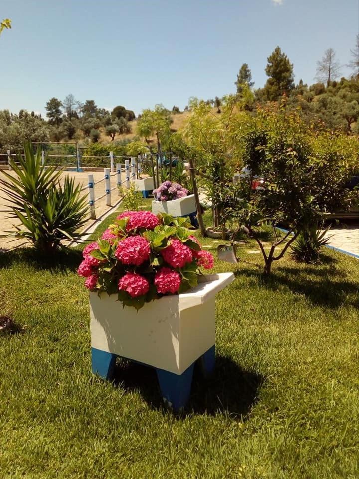 Quinta Ribeiro Tanquinhos Guest House Tancos Екстериор снимка