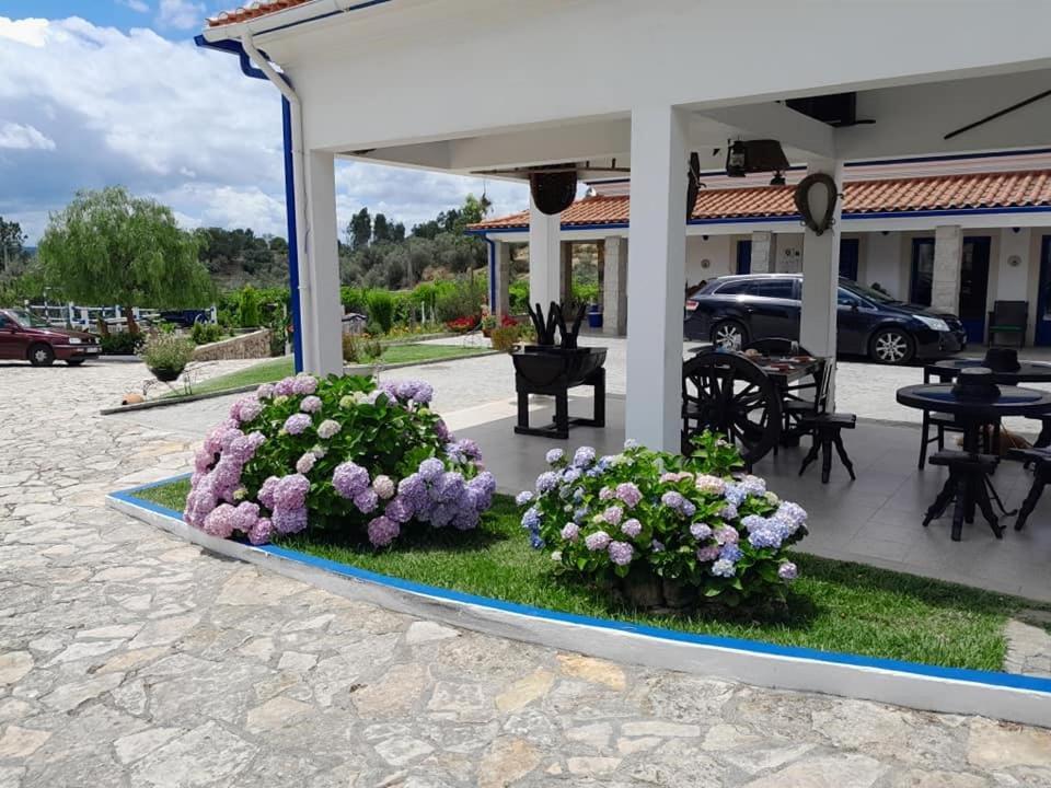 Quinta Ribeiro Tanquinhos Guest House Tancos Екстериор снимка