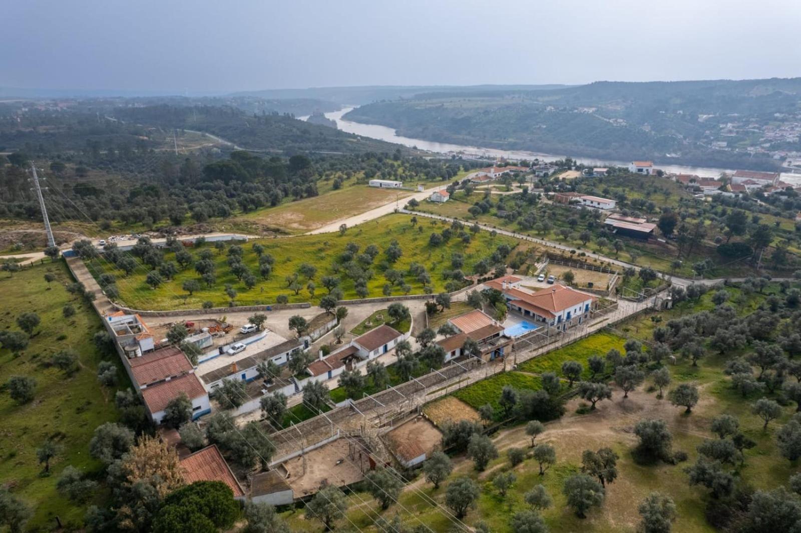 Quinta Ribeiro Tanquinhos Guest House Tancos Екстериор снимка