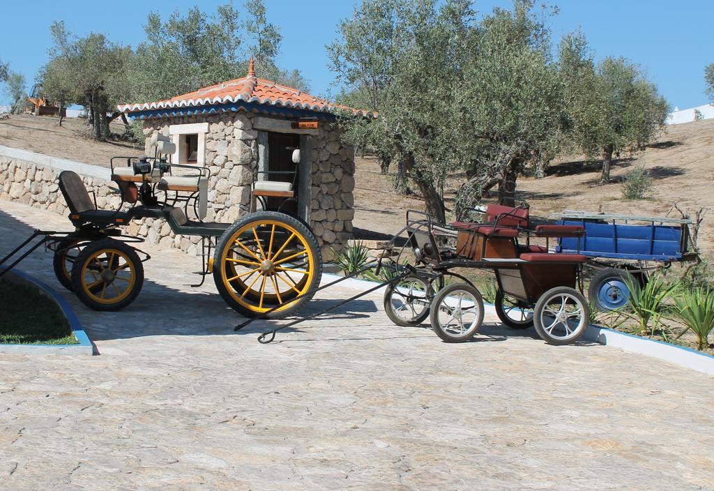 Quinta Ribeiro Tanquinhos Guest House Tancos Екстериор снимка