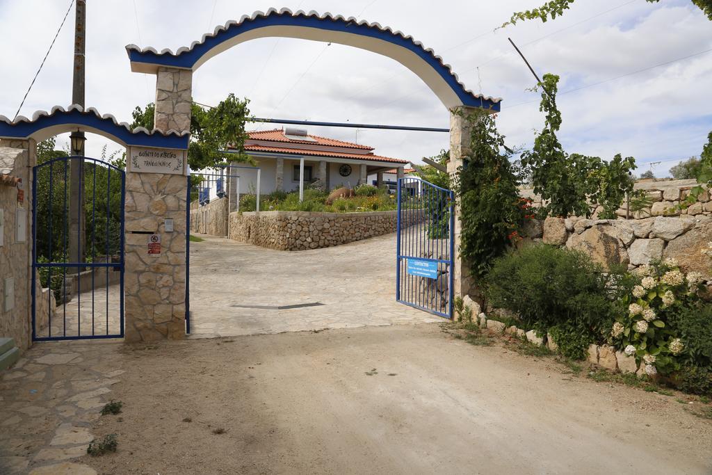 Quinta Ribeiro Tanquinhos Guest House Tancos Екстериор снимка