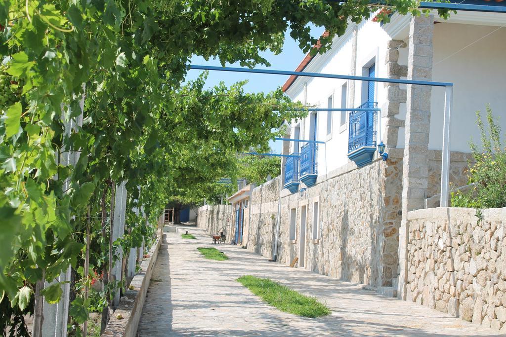 Quinta Ribeiro Tanquinhos Guest House Tancos Екстериор снимка