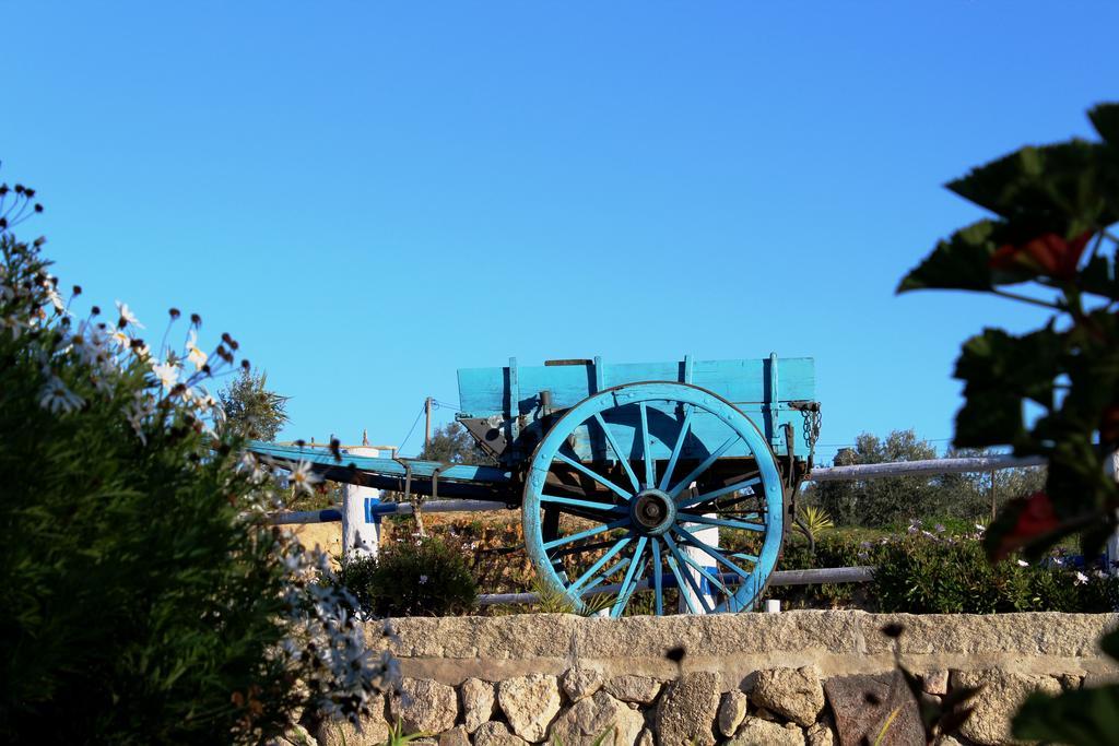 Quinta Ribeiro Tanquinhos Guest House Tancos Екстериор снимка