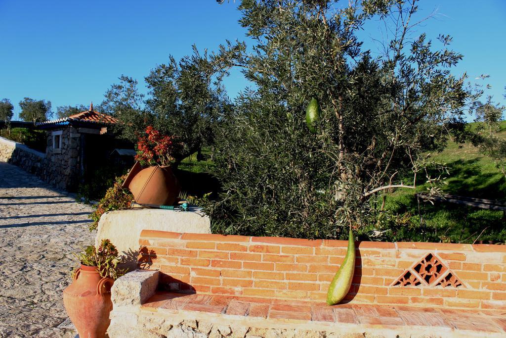 Quinta Ribeiro Tanquinhos Guest House Tancos Екстериор снимка