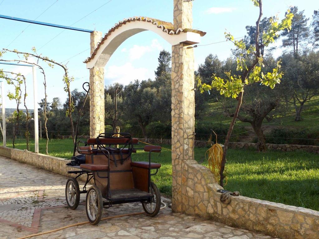 Quinta Ribeiro Tanquinhos Guest House Tancos Екстериор снимка