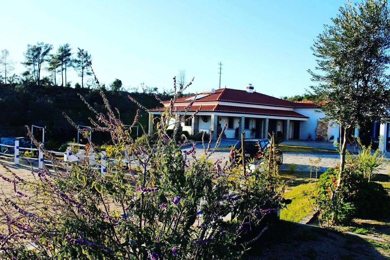 Quinta Ribeiro Tanquinhos Guest House Tancos Екстериор снимка