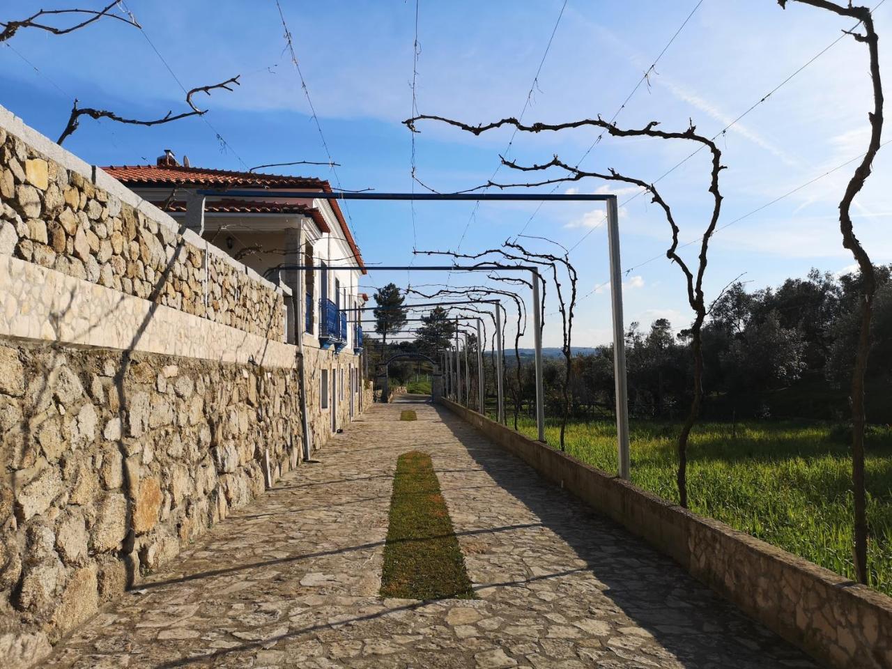 Quinta Ribeiro Tanquinhos Guest House Tancos Екстериор снимка